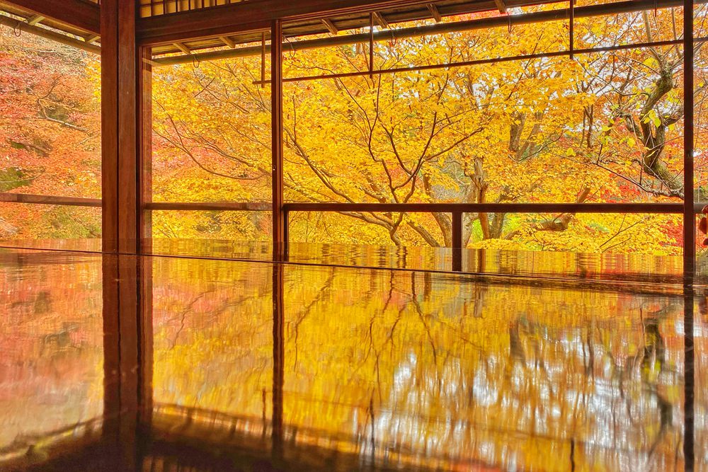 京都瑠璃光院紅葉