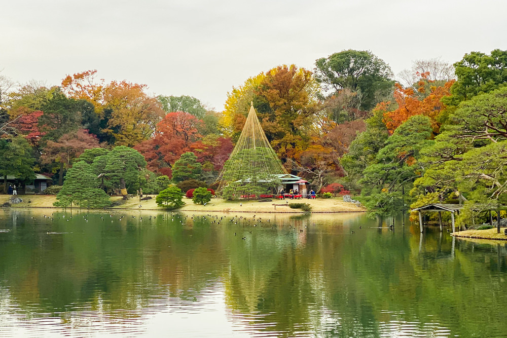 東京也能賞楓 東京紅葉景點9 選 人氣景點到小眾秘境都有 瓶顆旅居日本中