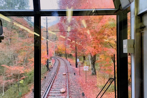 叡山電車紅葉隧道